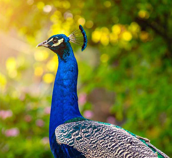 zero plastic fashion